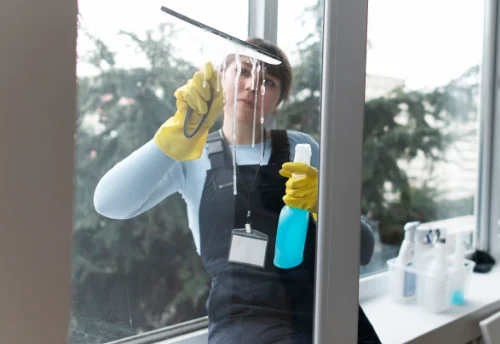 Nettoyage de vitres intérieures et extérieures à Montaulin